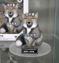 附圖