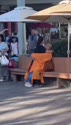 附圖