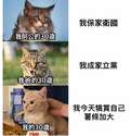 附圖