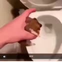 附圖