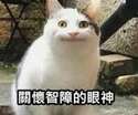 附圖
