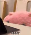 附圖