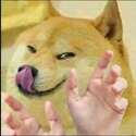 附圖