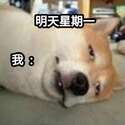 附圖