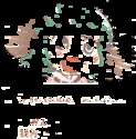 附圖
