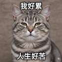 附圖