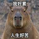附圖