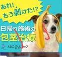 附圖