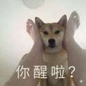附圖