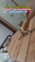 附圖