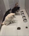 附圖