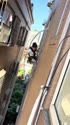 附圖