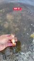 附圖