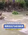 附圖