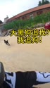 附圖