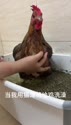 附圖