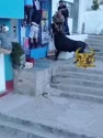 附圖