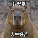 附圖