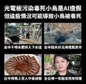 附圖