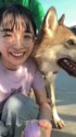 附圖