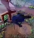 附圖