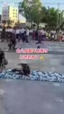 附圖