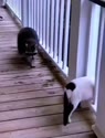 附圖