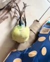 附圖