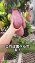 附圖