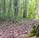 附圖