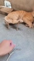 附圖