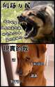 附圖