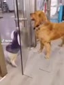 附圖