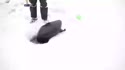 附圖