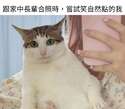 附圖