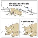 附圖