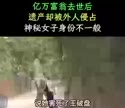 附圖