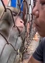 附圖