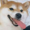 附圖