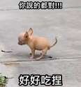 附圖