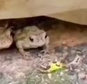 附圖