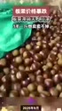 附圖