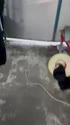 附圖