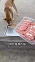附圖