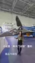附圖