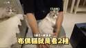 附圖