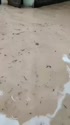 附圖