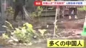 附圖