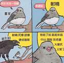 附圖