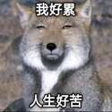 附圖
